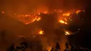 Kobaran api melahap hutan di wilayah Santiago, Chile (20/1). Kebakaran hutan yang terjadi dalam sepekan terakhir telah menghanguskan lahan seluas 155 kilometer persegi. (AFP Photo/Martin Bernetti)