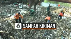 sampah kayu thumbnail