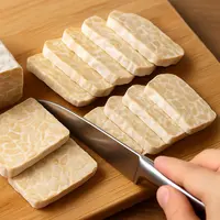 ilustrasi tempe/image generated by AI