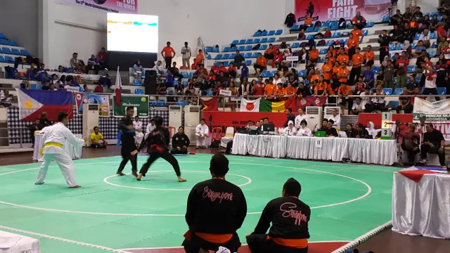 Pencak silat
