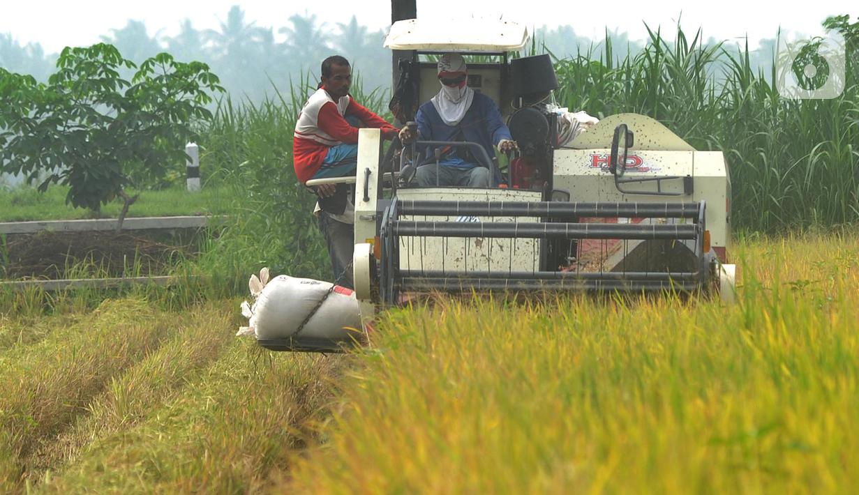 Petani memanen padi jenis IR 54 menggunakan mesin produk China di Galuh, Kulon Progo, Yogyakarta, Kamis (2/2/2020). Mesin yang disewa seharga Rp 500 ribu untuk memanen padi seluas 1.400 meter persegi itu mengefisienkan waktu, tenaga, dan modal dibandingkan tenaga manusia. (merdeka.com/Arie Basuki)