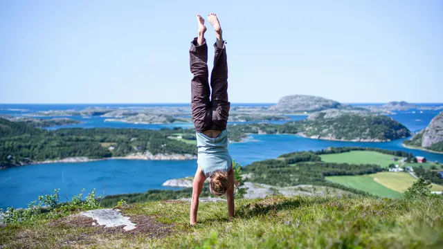 Ilustrasi gerakan handstand