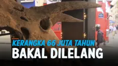 THUMBNAIL DINOSAURUS