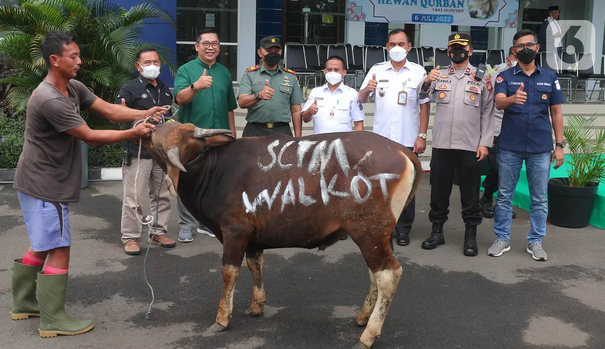 Corporate Secretary Division Head SCM Grup Gilang Iskandar (kemeja hijau) menyerahkan hewan kurban secara simbolis di studio 5 Indosiar, Daan Mogot, Jakarta, Rabu (6/7/2022). PT SCM menyerahkan sejumlah hewan kurban kepada masyarakat jelang Hari Raya Idul Adha ada 65 hewan kurban yang diserahkan SCM tahun ini. (Liputan6.com/Angga Yuniar)