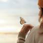 Ilustrasi penggemar kupu-kupu. (Shutterstock)