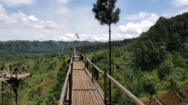 Hutan Pinus Sentul
