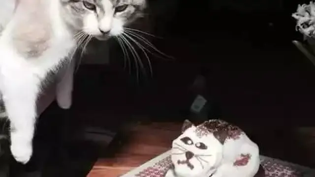 Kocak, 6 Potret Kue Mirip Hewan Ini Tak Sesuai Ekspektasi