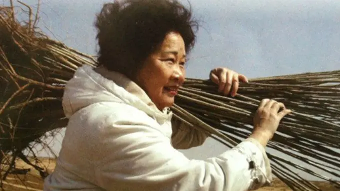 Foto: copyright odditycentral.com