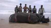 Bangkai badak Samson ditemukan di pantai. Foto: (Dokumentasi Balai TNUK)