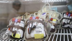 Sejumlah kantong darah berada di kantor PMI DKI Jakarta, Jumat (24/6). Meskipun terdapat penurunan, namun stok darah di Ibu Kota relatif aman selama Ramadan dengan jumlah sekitar 800-1.500 kantong perhari. (Liputan6.com/Immanuel Antonius)