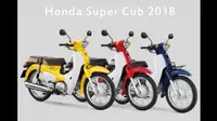 Honda Super Cub 2018 (Oto.com)