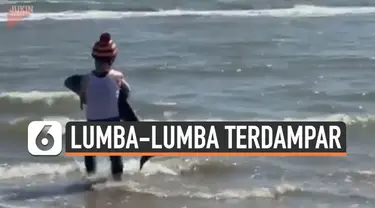 Seekor bayi lumba-lumba ditemukan terdampar di sebuah pantai yang tak diketahui lokasinya. Beruntung, ada seorang wanita yang berhasil menyelamatkan bayi lumba-lumba tersebut.