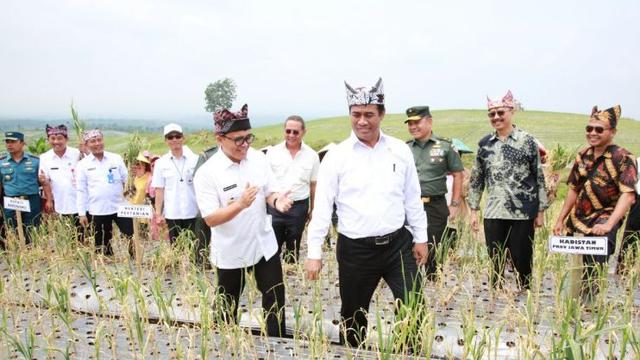 Menteri Pertanian Andi Amran Sulaiman melakukan panen perdana bawang putih di Banyuwangi, Kamis (22/3/2018).