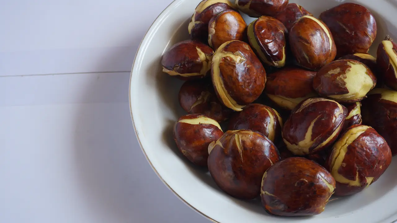 Jengkol