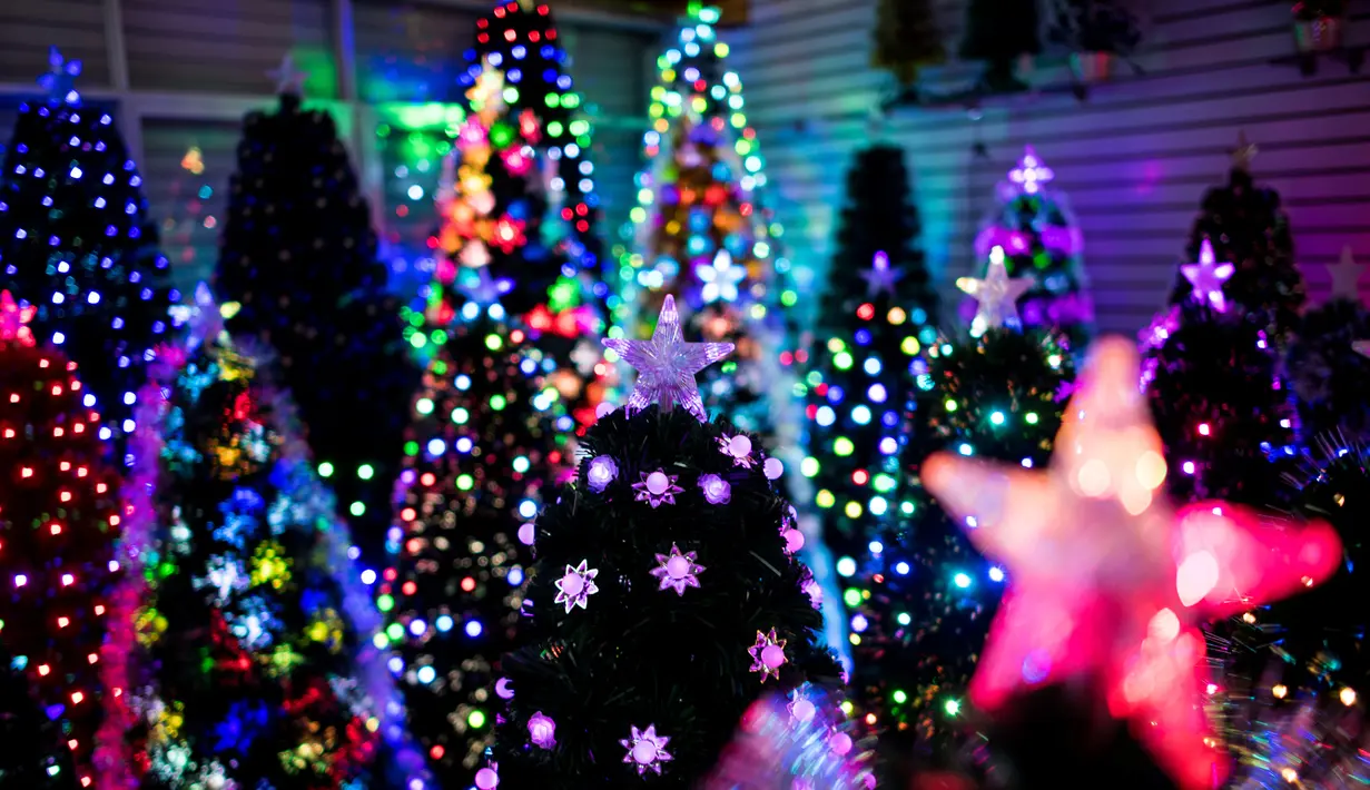 Sejumlah pohon Natal buatan pabrik Sun Xudan siap di jual, Yiwu, China (7/12). Menyambut perayaan Natal, Berbagai aksesoris Natal, termasuk pohon cemara buatan  di produksi di pabrik ini. (AFP Photo/Johannes Eisele)