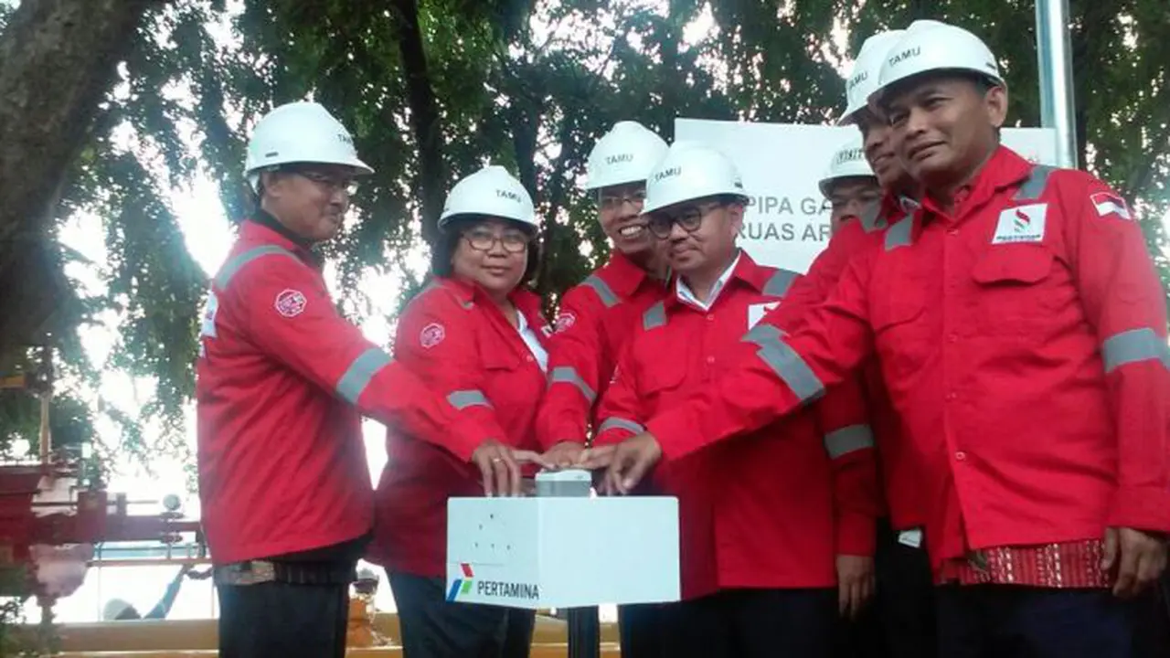  Pertagas Akhirnya Operasikan Pipa Arun Belawan