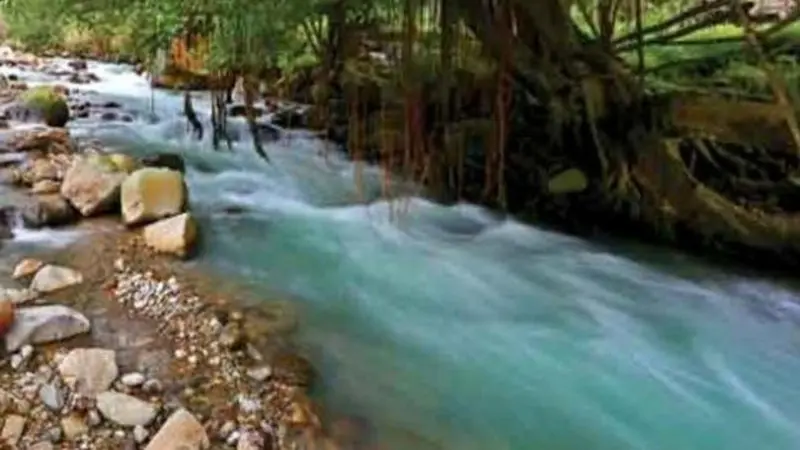 Menikmati Perjalanan Keindahan Alam di Sungai Dua Rasa Deli Serdang