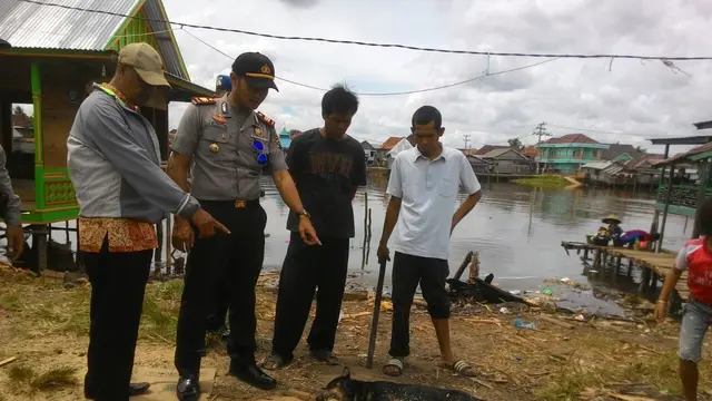 Sudah ada enam ekor anjing liar yang berkeliaran di Kertapati Palembang  dtembak mati