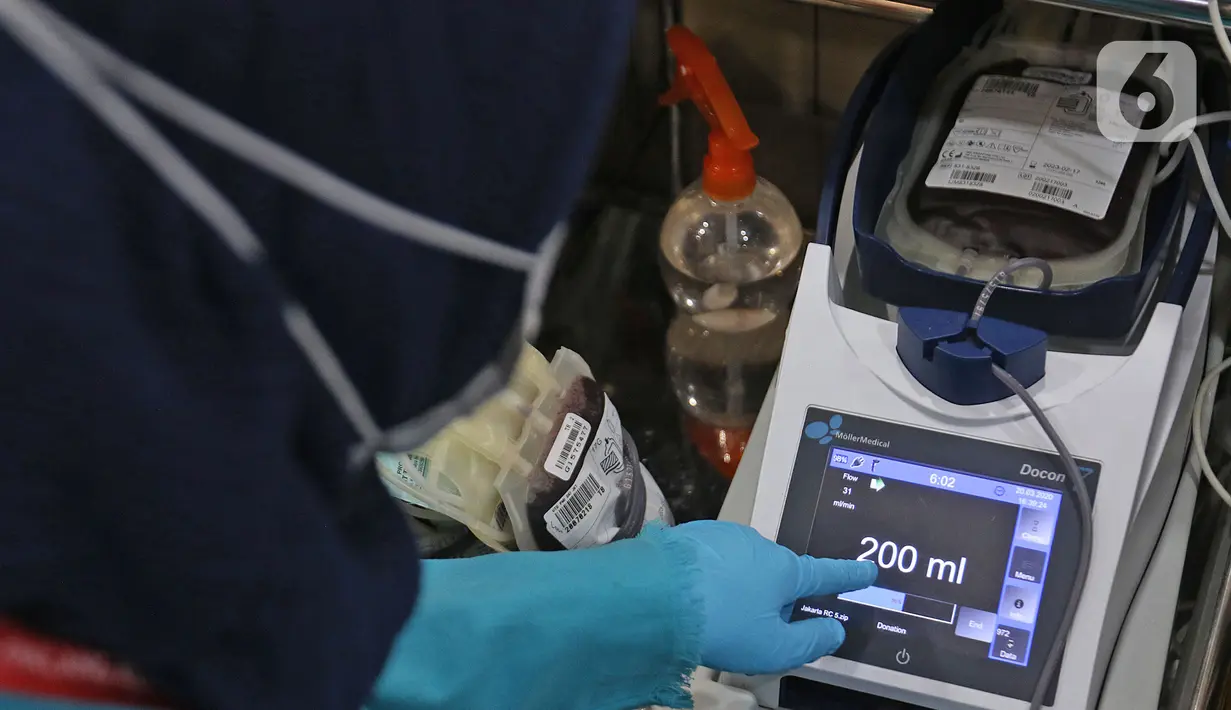 Petugas memeriksa kantong darah di kantor PMI DKI Jakarta, Jumat (20/3/2020). Dampak meluasnya Virus Corona COVID-19, stok darah di PMI Jakarta menurun 60 - 70 persen hingga membuat pihak rumah sakit membuka donor darah atau mengirim pendonor ke PMI. (Liputan6.com/Herman Zakharia)