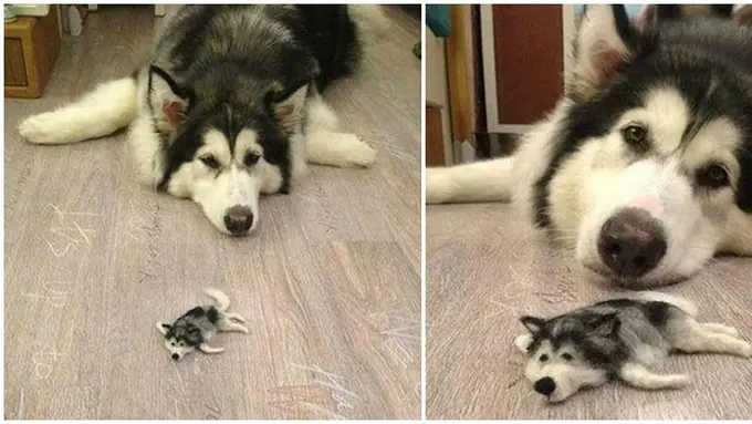 (c) en.rocketnews24.com