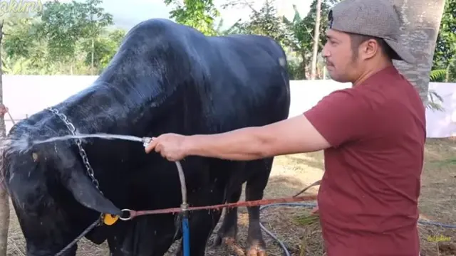 Irfan Hakim (Foto: YouTube)