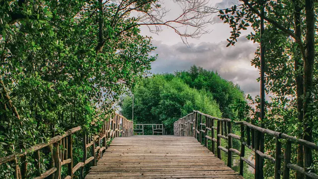 Taman Wisata Alam Angke Kapuk