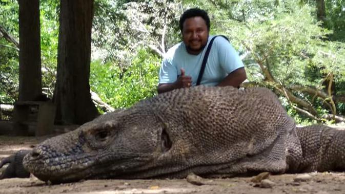 Ingat Ya Jangan Beri Makan Apa Pun Ke Komodo Regional Liputan6 Com