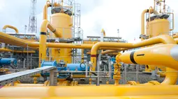 Proyek Biomethane dari Limbah Sawit di Sumatera Selatan Masuki Tahap Akhir