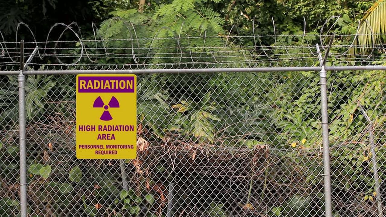 Karena Cinta Dengan Hewan, Wanita Ini Rela Tembus Zona Radioaktif Setiap Harinya