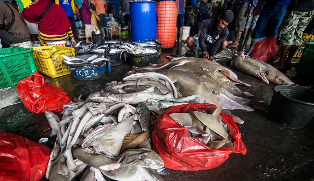 Nelayan saat memotong ikan hasil tangkapannya, termasuk hiu, di sebuah tempat pelelangan ikan di Brondong, Lamongan, Jawa Timur, Senin (13/3). (AFP Photo/Juni Kriswanto)