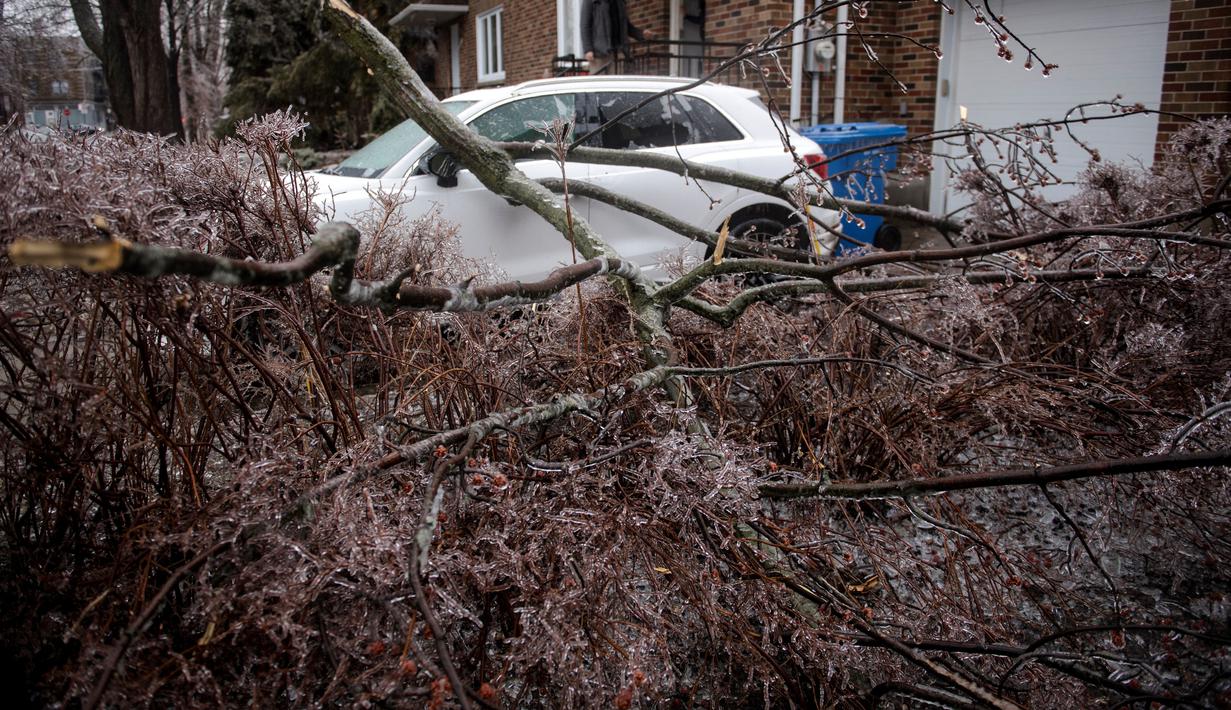 Utilitas publik mengatakan pemadaman disebabkan oleh pohon tumbang dan cabang yang patah karena beban es yang menumpuk. (AFP/Andrej Ivanov)