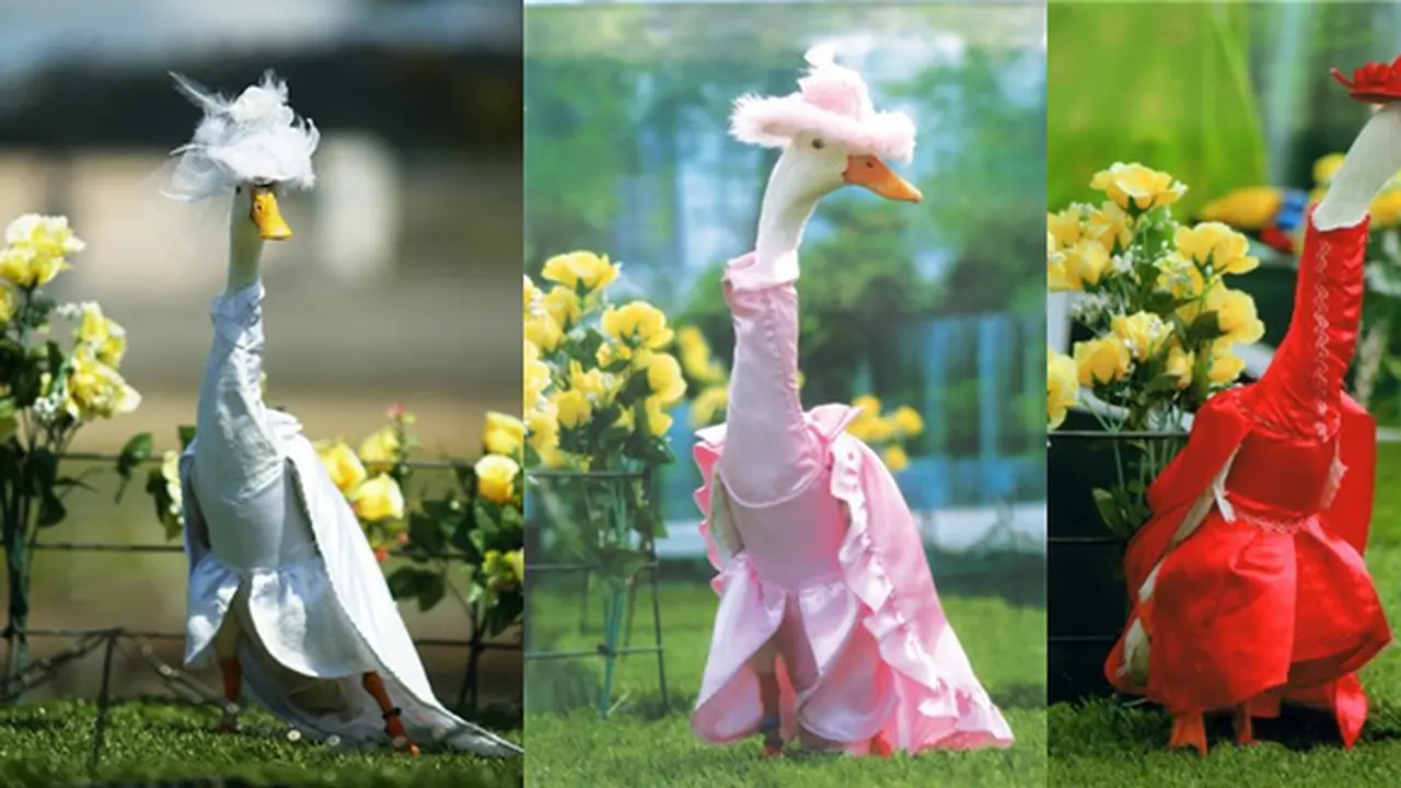 Foto: copyright designtaxi.com