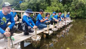 Kegiatan menanam bibit Mangrove oleh EU Green Diplomacy Weeks (dok. Liputan6.com/faqih nuriman)