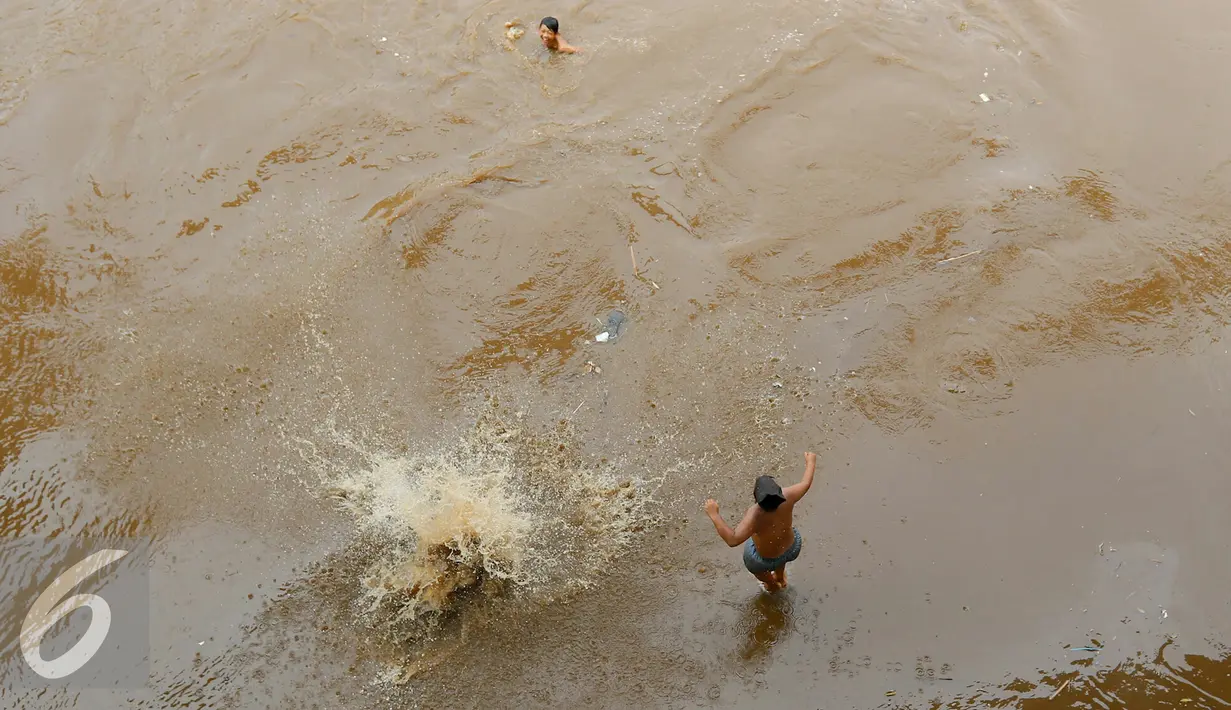 Anak-anak Ciliwung tampak riang saat berenang di sungai Ciliwung, Jakarta, Jumat (13/11). Tanpa rasa takut, anak-anak Ciliwung terjun ke aliran sungai dari atas jembatan Kalibata yg tingginya mencapai 7-8 meter. (Liputan6.com/Yoppy Renato)