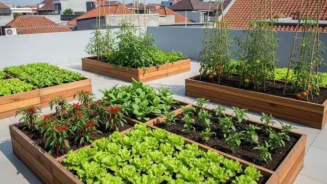Model Kebun Sayur Hijau yang Estetik di Rooftop