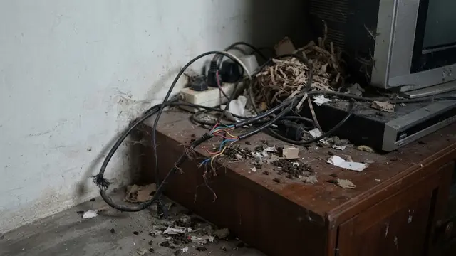 Tanda Ada Sarang Tikus di Dalam Rumah