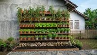 Cara Bikin Edible Garden dengan Tanaman Sayur Mini di Rumah, Mudah & Hemat Lahan