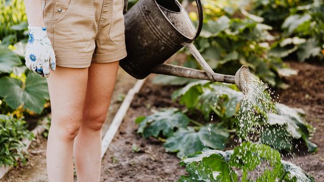 Gardening-Inspired Pickup Lines