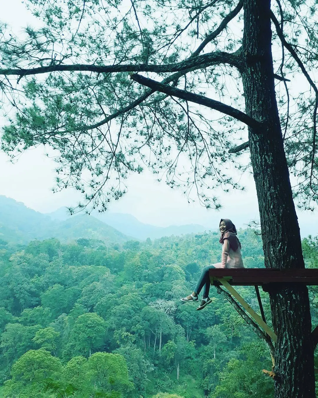Hutan Pinus Nongko Ijo, Madiun, Jawa Timur. (lurindamaharsiwi/Instagram)