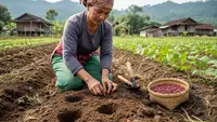 5 Cara Menanam Kacang Merah ala Petani Desa, Mudah Dirawat dan Cepat Panen