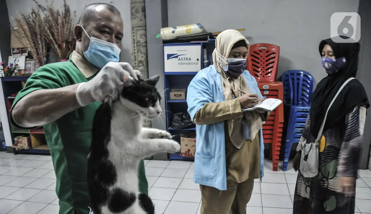Tim paramedis Suku Dinas Ketahanan Pangan, Kelautan, dan Pertanian Jakarta Timur mendata hewan peliharaan warga usai divaksin rabies di Kantor RW 07 Cipinang Muara, Jatinegara, Jakarta, Senin (6/9/2021). Vaksinasi keliling digelar di tiap RW hingga 15 September 2021. (merdeka.com/Iqbal S. Nugroho)
