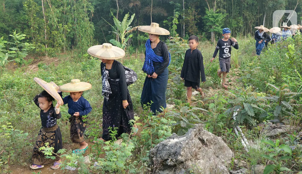Masyarakat adat Suku Baduy Luar jalan kaki menuju tempat rangkaian tradisi adat Ngaseuk di kampung Karangkerit, desa Bojong Menteng, Banten, Senin (1/11/2021). Tradisi Ngaseuk merupakan musim tanam untuk suku Baduy yang nanti hasil panen untuk upeti pemerintah daerah. (Liputan6.com/Herman Zakharia)