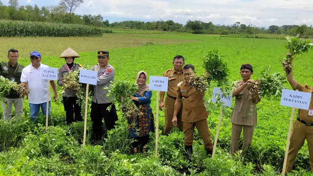 PT Pupuk Kalimantan Timur (Pupuk Kaltim) gelar sosialisasi program Agrosolution dan pelatihan pembuatan kompos