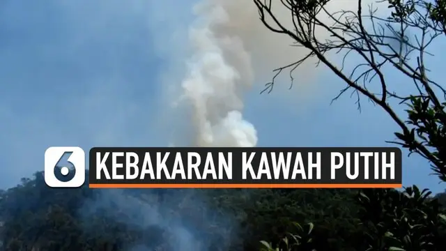Pemadaman kebakaran di Lereng Gunung Malabar Kawah Putih Bandung Barat memerlukan helikopter dari BNPB untuk mempercepat operasi pemadaman kebakaran hutan.
