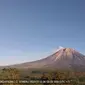 Aktivitas Gunung Semeru didominasi gempa letusan hingga 30 kali pagi ini, Sabtu 13 Juli 2024. (Foto: Istimewa)