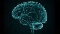Wabah Meningitis Serang Nigeria, 300 Orang Tewas