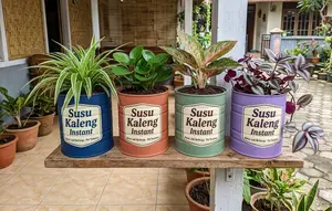 10 Ide Kaleng Susu Bekas Jadi Pot Tanaman Hias, Cara Merawatnya Mudah
