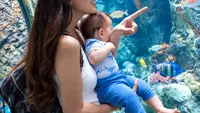 Potret Aurelie Moeremans Ajak Baby Tommy Jalan-jalan ke Aquarium