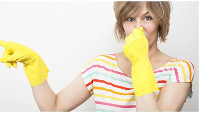 courtesy of shutterstock