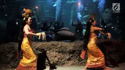 Penari memeriahkan atraksi barongan dalam air di akuarium utama Sea World Ancol, Jakarta, Senin (4/3). Pertunjukan bertajuk "Barongan, an Epic Underwater Show" itu untuk menghibur pengunjung pada libur Nyepi dan akhir pekan. (merdeka.com/Iqbal Nugroho)